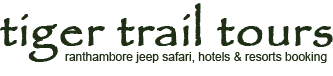 Ranthambore Tiger Safari | Tiger Trail Tours